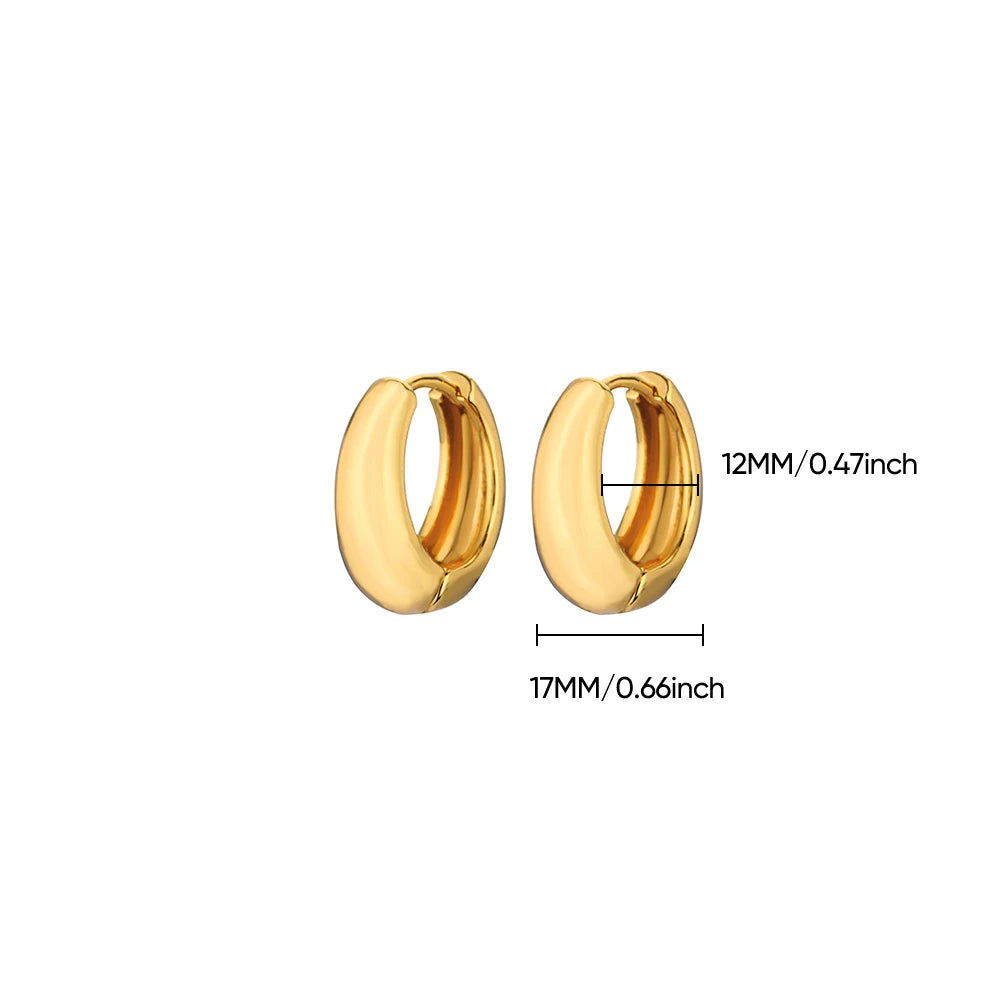 Classic Hoop Earrings for Women Girls Gold Color Chunky Stainless Steel Earrings 2025 Trend New in Minimalist Ear Jewelry aretes