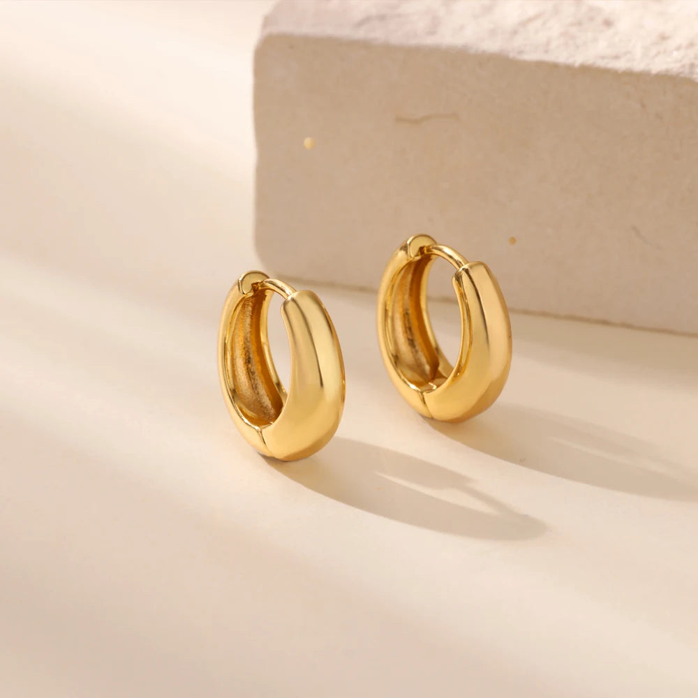 Classic Hoop Earrings for Women Girls Gold Color Chunky Stainless Steel Earrings 2025 Trend New in Minimalist Ear Jewelry aretes
